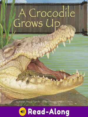 cover image of A Crocodile Grows Up